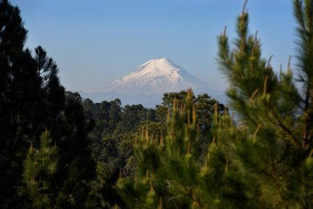 Bosque de los Murmullos: un lugar salido de un cuento para conectarse con la naturaleza