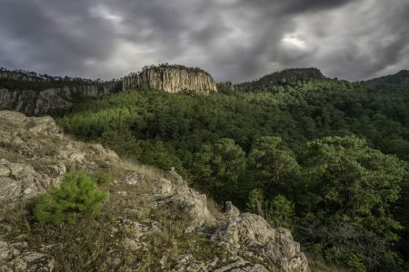 En el Bosque Otomí-Mexica se encuentran miles de árboles sagrados