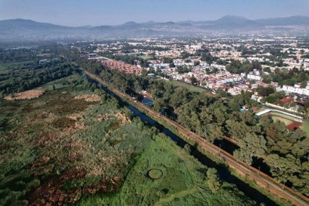 ¿Bosque Urbano de la CDMX? Conoce el significado de esta reciente categoría