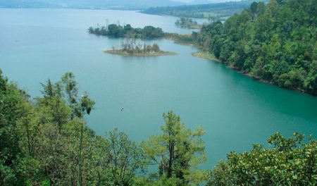 Bosque de Michoacán: un destino con gran diversidad natural y belleza sin igual