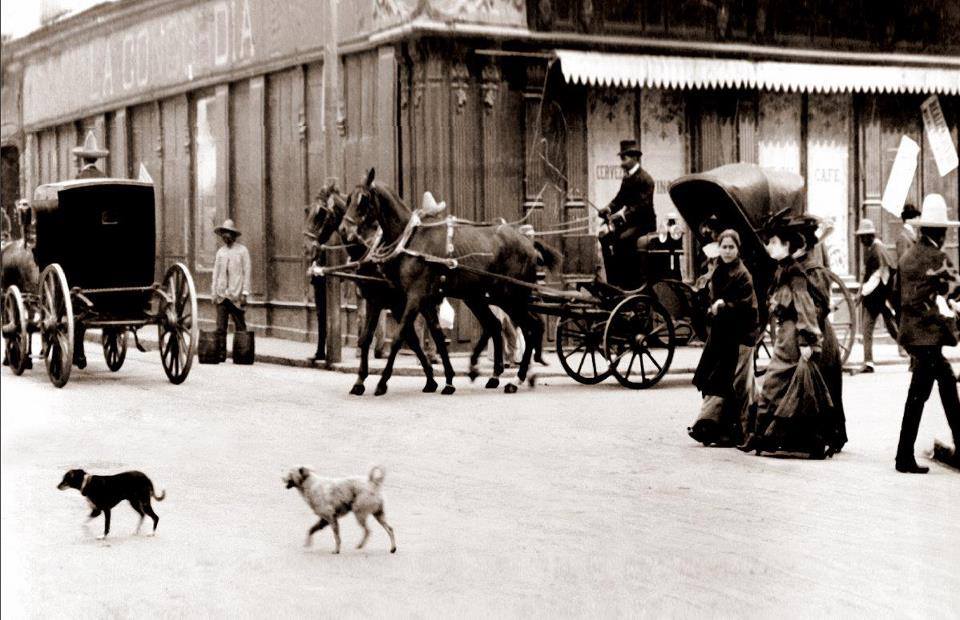 La historia de La Concordia, el café más lujoso del siglo XIX en la CDMX