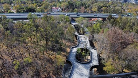 ¿Cómo es la calzada flotante del Bosque de Chapultepec? (FOTOS)