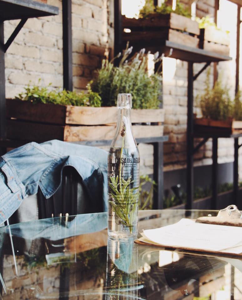 Casa del agua, una opción para aprender a deleitarnos con lo necesario: agua