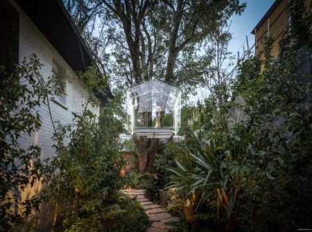 La preciosa casa de cristal en un micro bosque de Cuautitlán