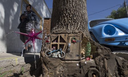 La peculiar casita de la Gómez Farías donde habita un hada