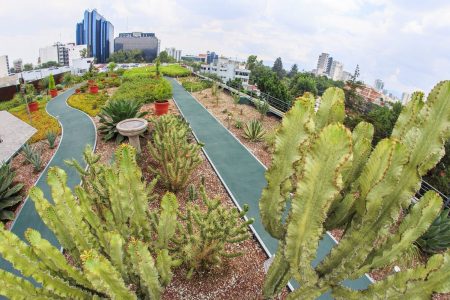 La CDMX gana el primer lugar como Ciudad Verde Mundial 2022