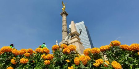 Estas son las 12 avenidas de CDMX que estarán decoradas con la esencia del cempasúchil