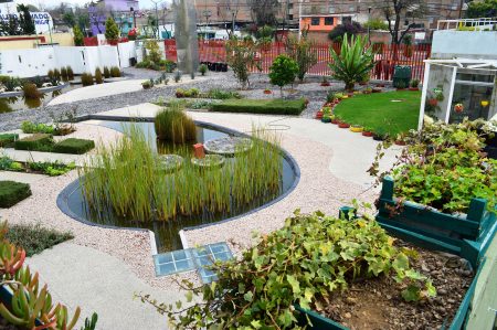 Centro Verde Azcapotzalco, un espacio para aprender agricultura urbana