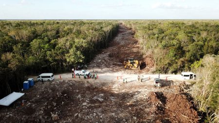 Avispa Enojada es la impresionante cueva que se encontró en el paso del Tren Maya