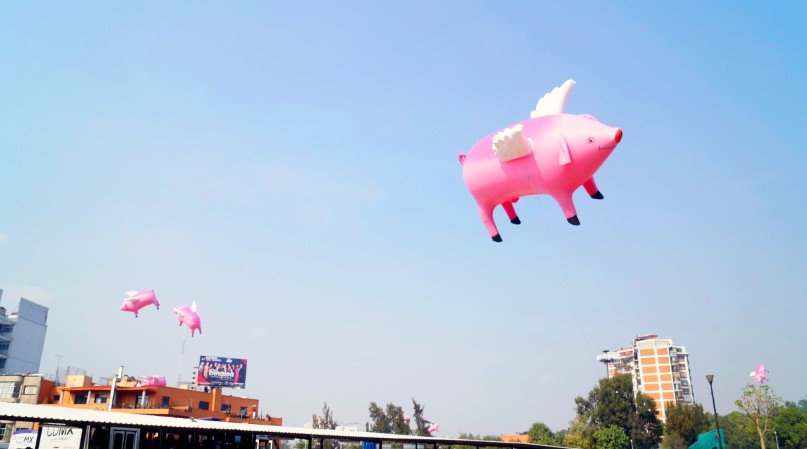 Los cerdos voladores que invadieron el cielo de la CDMX