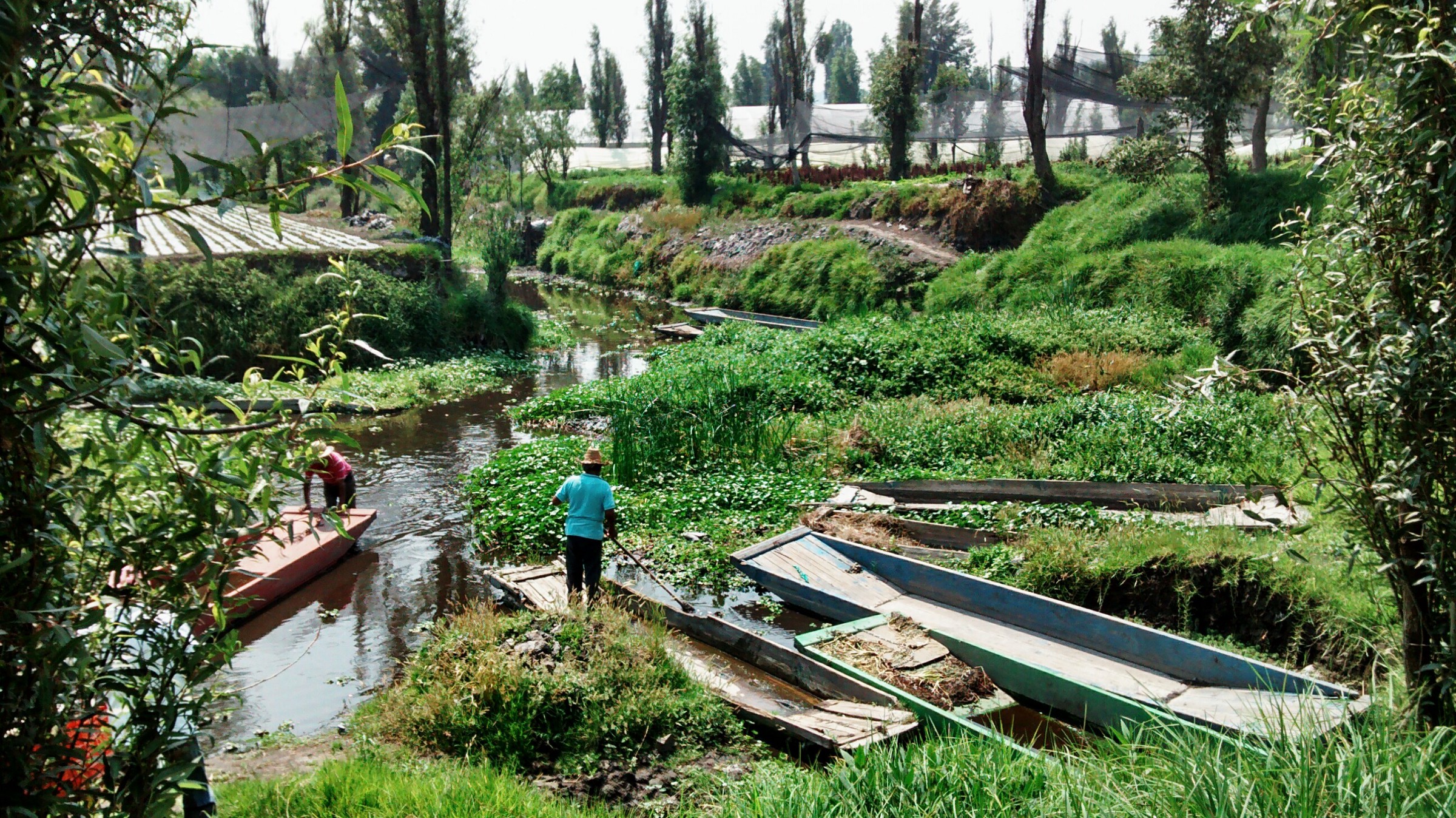 De la Chinampa a tu Cocina, proyectos de agricultores mexicanos en línea