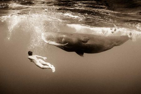 El reino silencioso de Christian Vizl, bellísimas fotos submarinas