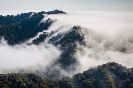 Destinos en México para embriagarse de neblina