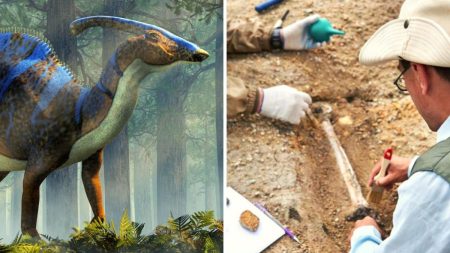 Mexicanos identifican fósiles de un nuevo dinosaurio muy “platicador”