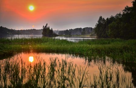 ¿Por qué es importante la conectividad fluvial para la reconstrucción del ecosistema mexicano?