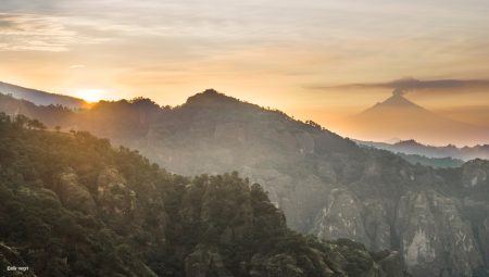 La biodiversidad de Chichinautzin va de la CDMX hasta Morelos