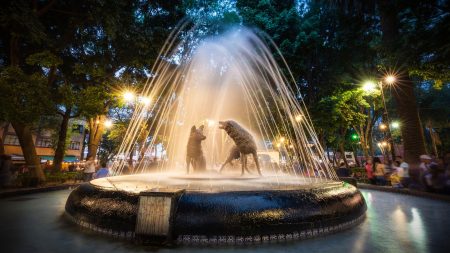 500 años de toda la historia viva en Coyoacán se convertirán en museo