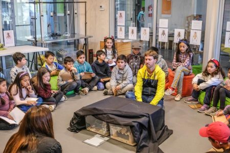 Museo Tamayo ofrece curso sonoro para niños y sobre arte feminista