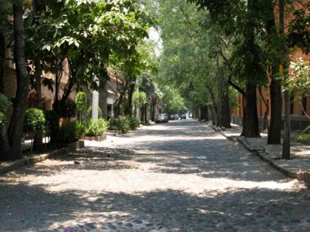 Lugares para comer rico, rápido y barato en la colonia Del Carmen