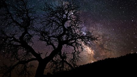 El cielo nos está llamando: la Noche de Estrellas en la UNAM