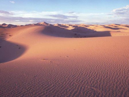 La Filarmónica del Desierto llega a Bellas Artes