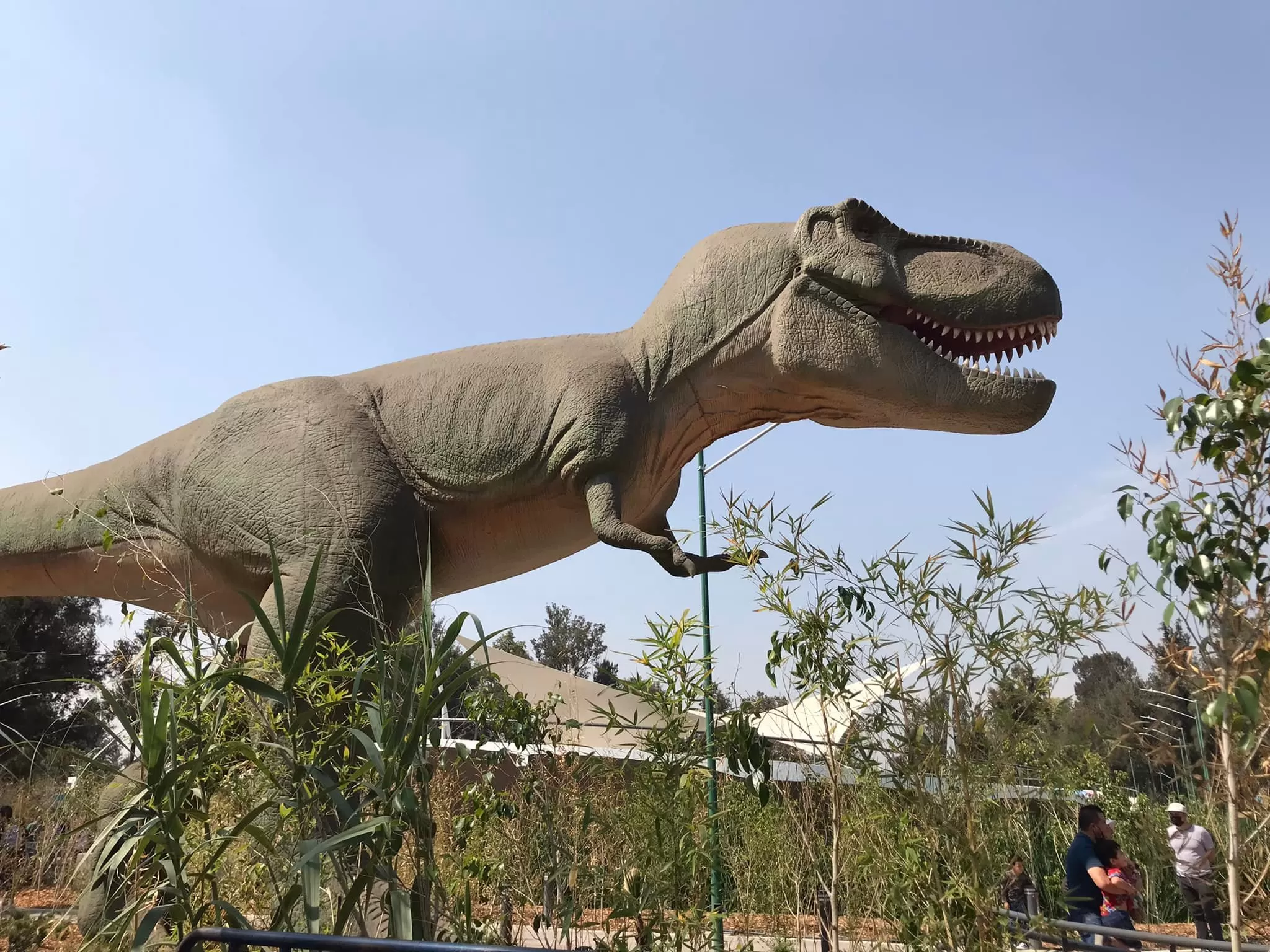 Viaja en el tiempo en estos lugares para ver dinosaurios en la CDMX