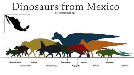 Dinosaurios mexicanos: especies, identificaciones y lugares en donde fueron hallados 