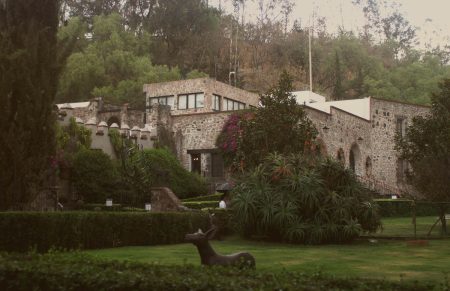 Intima con la obra de Kahlo y Rivera en el Museo Dolores Olmedo