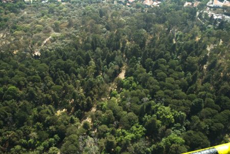 El Bosque de Tlalpan, un tesoro natural dentro de la gran ciudad