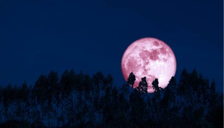 Luna de Fresa 2023: el cielo de la CDMX se adornará con este hermoso fenómeno natural