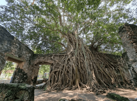 Edificios mexicanos que han hecho historia por más de 500 años