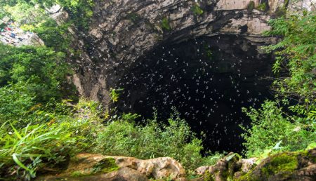 Maravillas de México: el Sótano de las Golondrinas