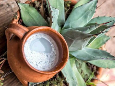 5 lugares para probar un delicioso pulque: el elixir de los dioses