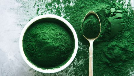 Espirulina, el super alimento de los mexicas para el sistema inmune