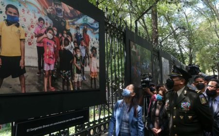 La Galería Abierta y sus exposiciones sobre naturaleza y la fuerza aérea mexicana