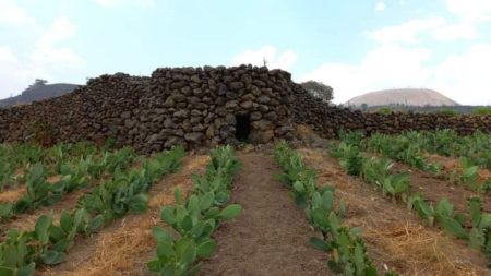 Milpa Alta cuenta con 15 zonas arqueológicas oficialmente descubiertas