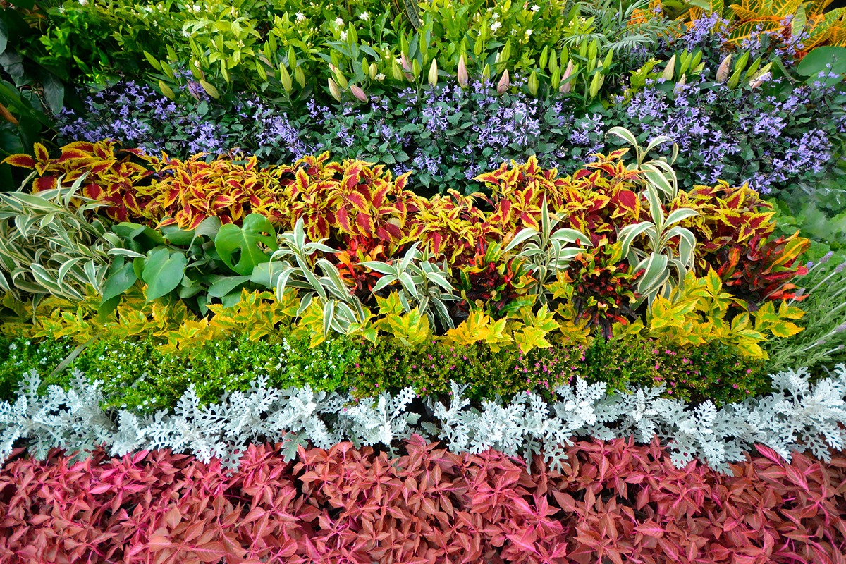 Así luce la Feria de las Flores en San Ángel