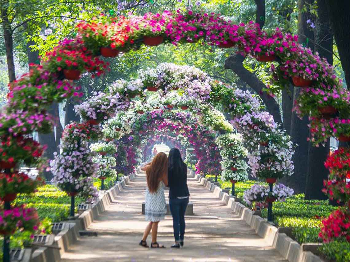 Llega el Festival de Flores de Verano a Paseo de la Reforma