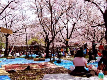 Ay! Love Festival 2019, celebra el día del amor al estilo japonés