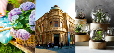 Llega el Festival del Jardín al Palacio de Autonomía con todo tipo de plantas