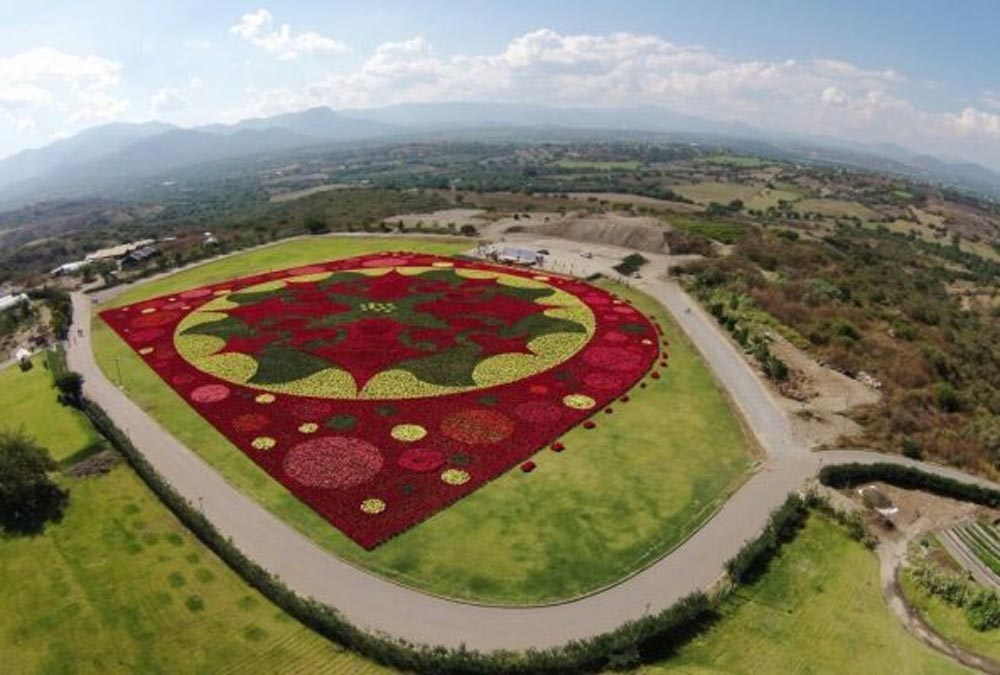 Festival del Globo de Teotihuacán romperá record con alfombra de nochebuenas