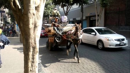 Ecos de la ciudad: la estrepitosa historia detrás de la voz del "fierro viejo que vendan"