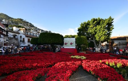 Leyendas mexicanas de Cuetlaxóchitl, la preciosa flor de nochebuena