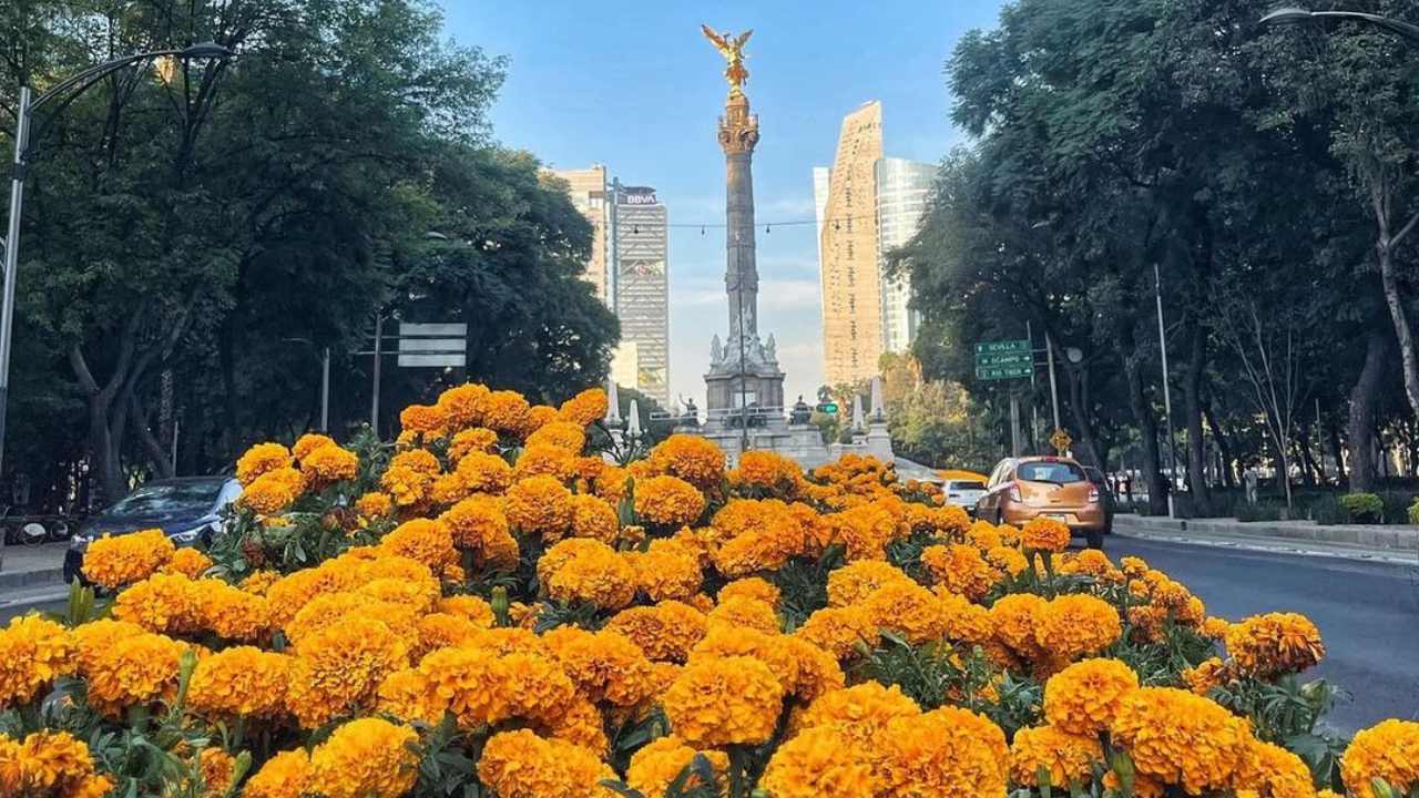 Esta semana llega el Festival de Flores de Cempasúchil a Reforma