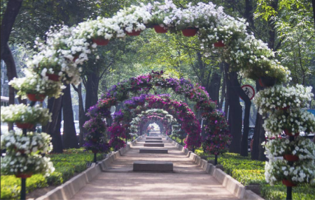 Llega el Festival de Flores de Otoño a Paseo de la Reforma