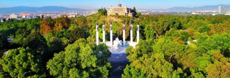 La nueva era del Bosque de Chapultepec: cine, cultura y naturaleza