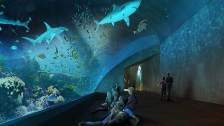 El nuevo Gran Acuario de Mazatlán es el más grande de toda América Latina