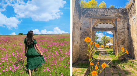 Esta sublime ex Hacienda de Amealco es un lugar fotogénico y lleno de historia