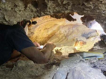 Hallan vasija maya en el cenote de una iglesia en Playa del Carmen