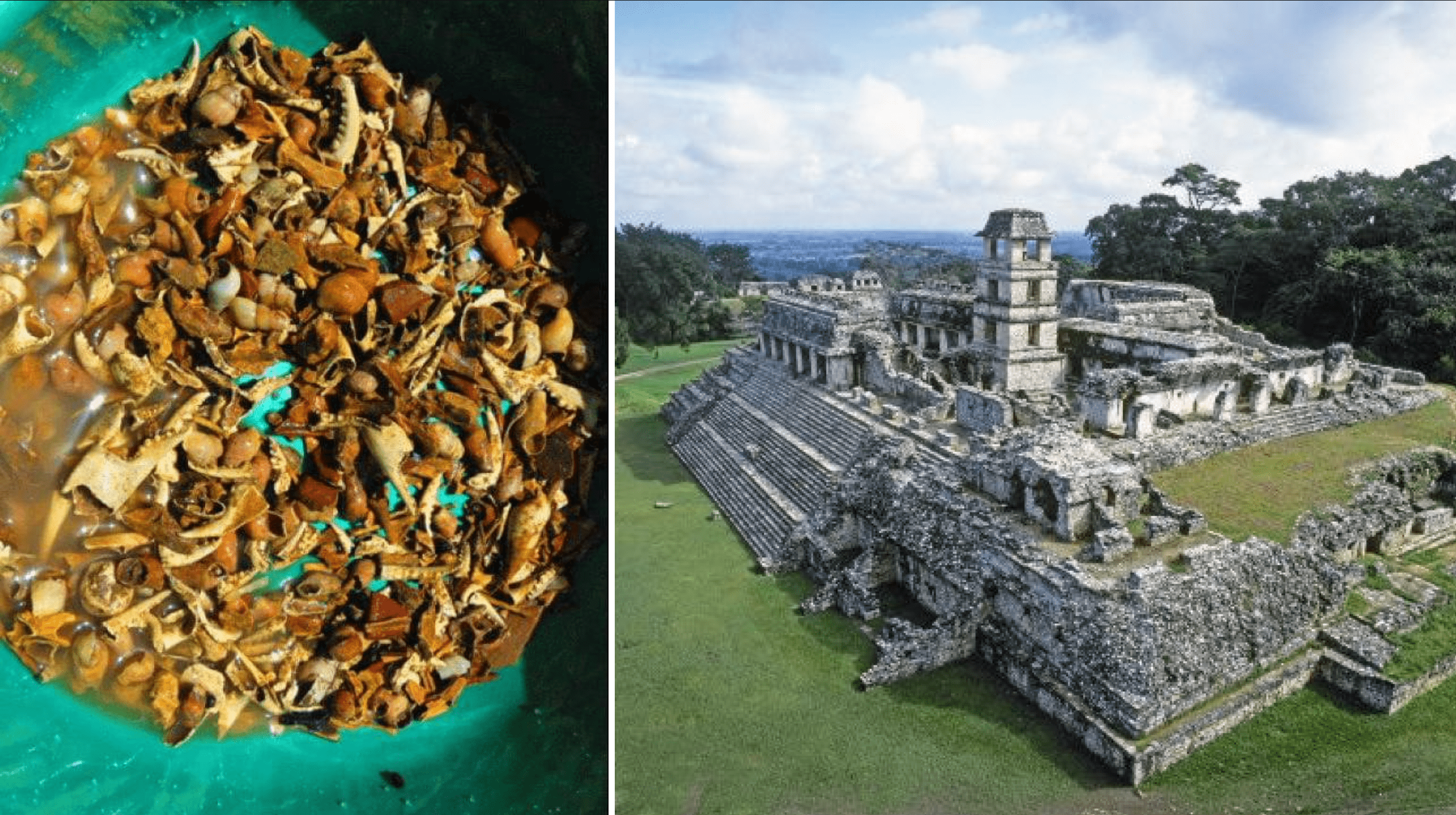 Nuevo hallazgo del INAH en el Palacio de Palenque detalla cómo eran los rituales mayas